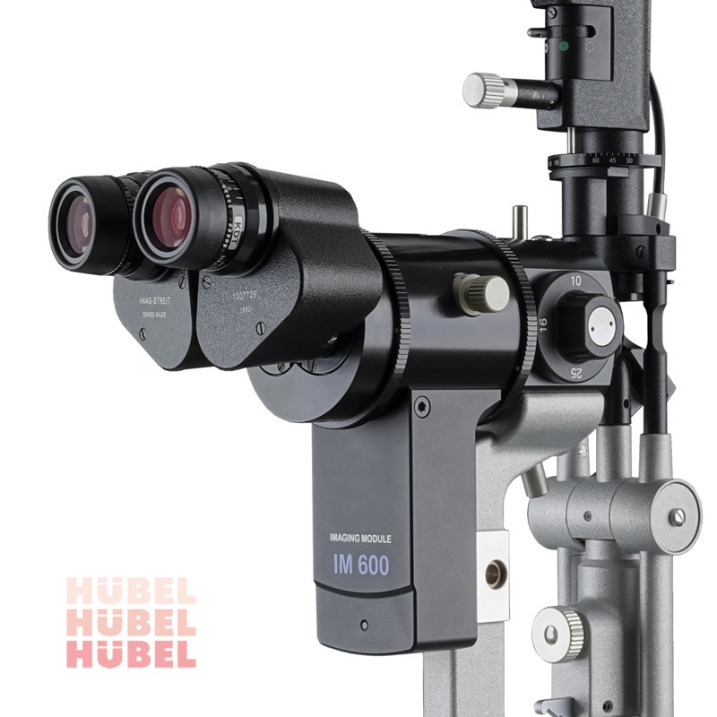 b9900im600-microscope-aloneaWpBuO3mdtaLr Imagingmodul IM 600